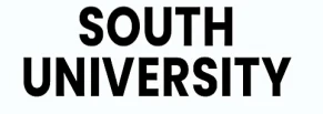Government of South Sudan